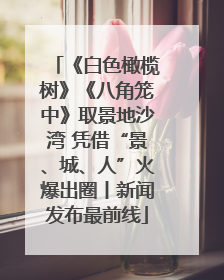 《白色橄榄树》《八角笼中》取景地沙湾 凭借“景、城、人”火爆出圈丨新闻发布最前线