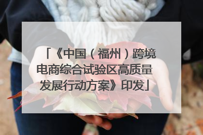 《中国（福州）跨境电商综合试验区高质量发展行动方案》印发