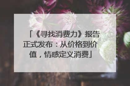 《寻找消费力》报告正式发布：从价格到价值，情感定义消费