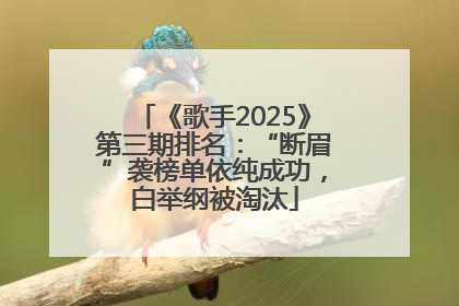 《歌手2025》第三期排名：“断眉”袭榜单依纯成功，白举纲被淘汰