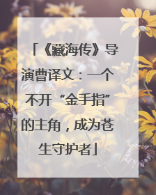 《藏海传》导演曹译文：一个不开“金手指”的主角，成为苍生守护者