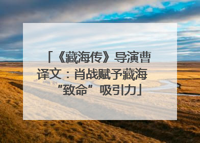 《藏海传》导演曹译文：肖战赋予藏海“致命”吸引力