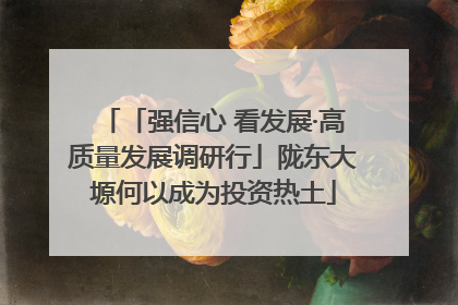 「强信心 看发展·高质量发展调研行」陇东大塬何以成为投资热土