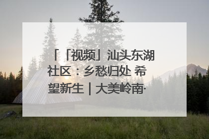 「视频」汕头东湖社区：乡愁归处 希望新生｜大美岭南·百村焕新记