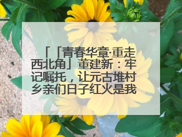 「青春华章·重走西北角」董建新：牢记嘱托，让元古堆村乡亲们日子红火是我最大动力！