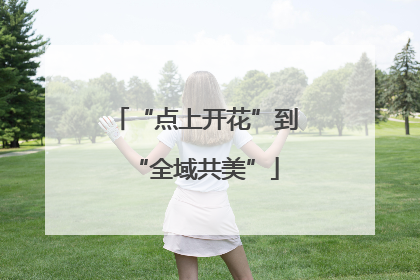 “点上开花”到“全域共美”