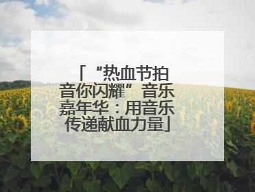 “热血节拍 音你闪耀”音乐嘉年华：用音乐传递献血力量