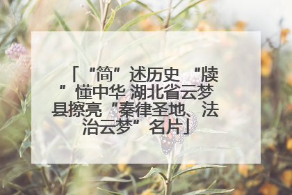 “简”述历史 “牍”懂中华 湖北省云梦县擦亮“秦律圣地、法治云梦”名片