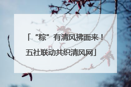 “粽”有清风拂面来！五社联动共织清风网