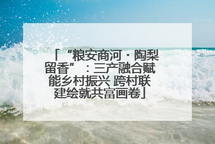 “粮安商河・陶梨留香”：三产融合赋能乡村振兴 跨村联建绘就共富画卷