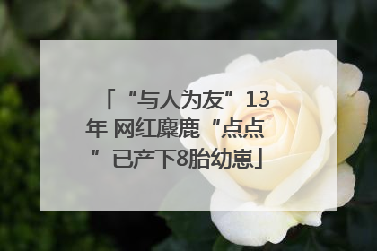 “与人为友”13年 网红麋鹿“点点”已产下8胎幼崽
