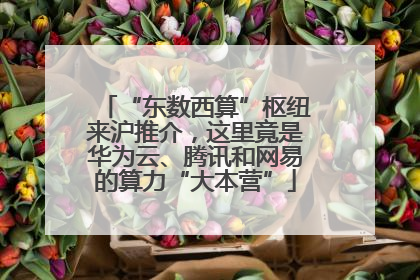 “东数西算”枢纽来沪推介，这里竟是华为云、腾讯和网易的算力“大本营”