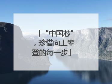“中国芯”，珍惜向上攀登的每一步