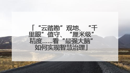 “云踏勘”观地、“千里眼”值守、“厘米级”精度……看“最强大脑”如何实现智慧治理