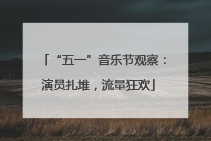 “五一”音乐节观察：演员扎堆，流量狂欢