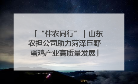 “伴农同行”｜山东农担公司助力菏泽巨野蛋鸡产业高质量发展