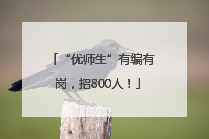 “优师生”有编有岗，招800人！
