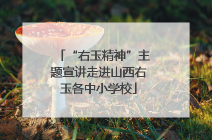 “右玉精神”主题宣讲走进山西右玉各中小学校
