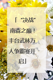 “决战”南森之巅！丰台武林万人争霸赛开启