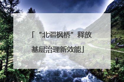 “北疆枫桥”释放基层治理新效能