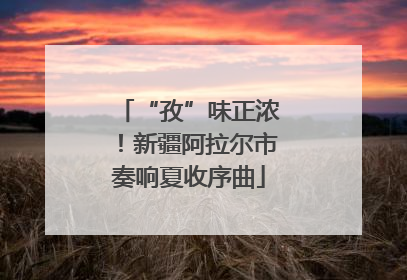 “孜”味正浓！新疆阿拉尔市奏响夏收序曲