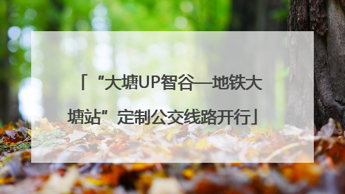 “大塘UP智谷—地铁大塘站”定制公交线路开行