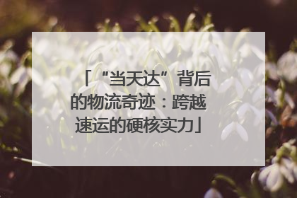 “当天达”背后的物流奇迹：跨越速运的硬核实力