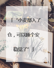 “小麦都入了仓，可以睡个安稳觉了”