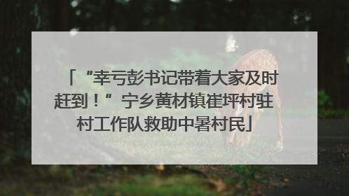 “幸亏彭书记带着大家及时赶到！”宁乡黄材镇崔坪村驻村工作队救助中暑村民