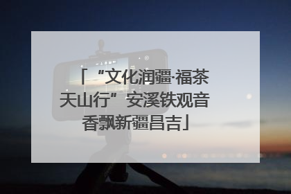 “文化润疆·福茶天山行”安溪铁观音香飘新疆昌吉