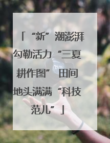 “新”潮澎湃勾勒活力“三夏耕作图” 田间地头满满“科技范儿”