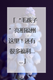 “毛孩子”亮相福州这里！还有很多福利……
