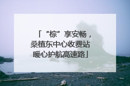 “棕”享安畅，桑植东中心收费站暖心护航高速路