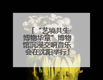 “艺境共生·博物华章”博物馆沉浸交响音乐会在沈阳举行