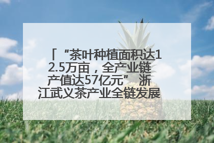 “茶叶种植面积达12.5万亩，全产业链产值达57亿元” 浙江武义茶产业全链发展“加速度”