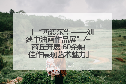 “西渡东望——刘建中油画作品展”在商丘开展 60余幅佳作展现艺术魅力