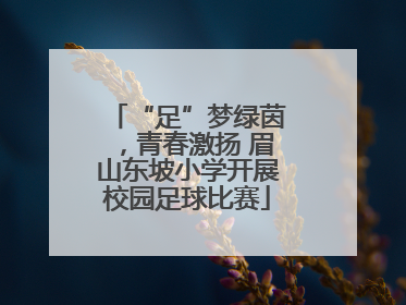 “足”梦绿茵，青春激扬 眉山东坡小学开展校园足球比赛