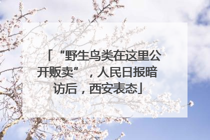 “野生鸟类在这里公开贩卖”，人民日报暗访后，西安表态