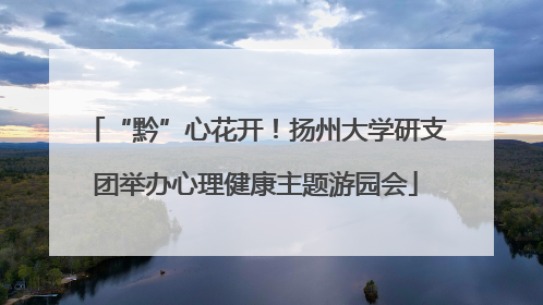 “黔”心花开！扬州大学研支团举办心理健康主题游园会
