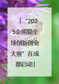 “2025金熊猫全球创新创业大赛”在成都启动