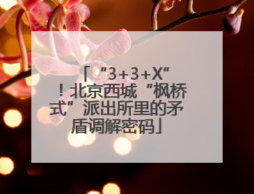“3+3+X”！北京西城“枫桥式”派出所里的矛盾调解密码