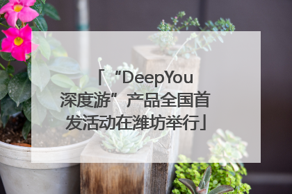 “DeepYou深度游”产品全国首发活动在潍坊举行