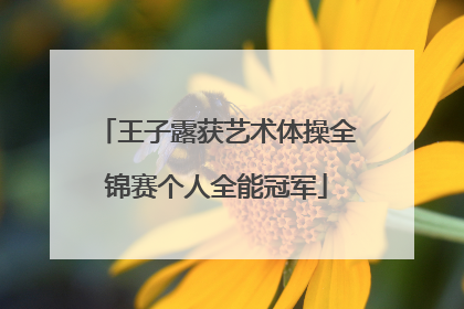 王子露获艺术体操全锦赛个人全能冠军