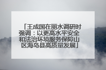 王成国在丽水调研时强调：以更高水平安全和法治环境服务保障山区海岛县高质量发展
