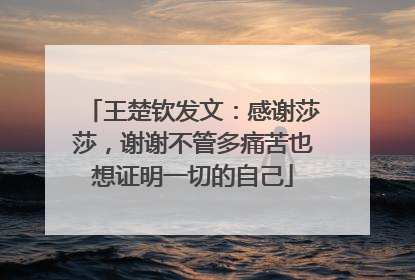 王楚钦发文：感谢莎莎，谢谢不管多痛苦也想证明一切的自己