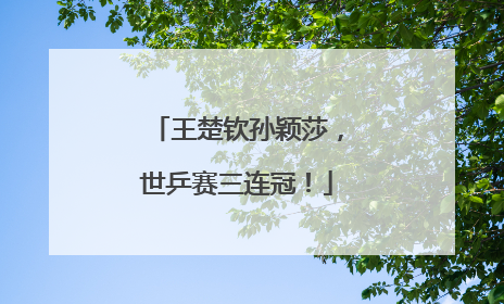 王楚钦孙颖莎，世乒赛三连冠！