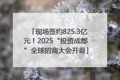 现场签约825.3亿元！2025“投资成都”全球招商大会开幕