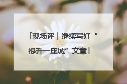 现场评｜继续写好“提升一座城”文章