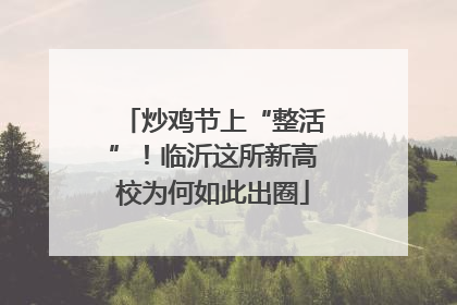 炒鸡节上“整活”！临沂这所新高校为何如此出圈