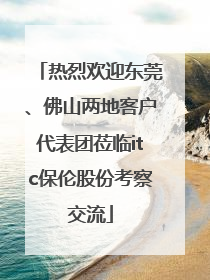 热烈欢迎东莞、佛山两地客户代表团莅临itc保伦股份考察交流
